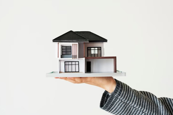 Portfolio-Image